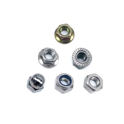 High Quality Stainless Steel Hex Nut /Flange Nut/Hex Nylon Lock Nut/ Spring Nut /Eye Nut/Acron Nut T Nut