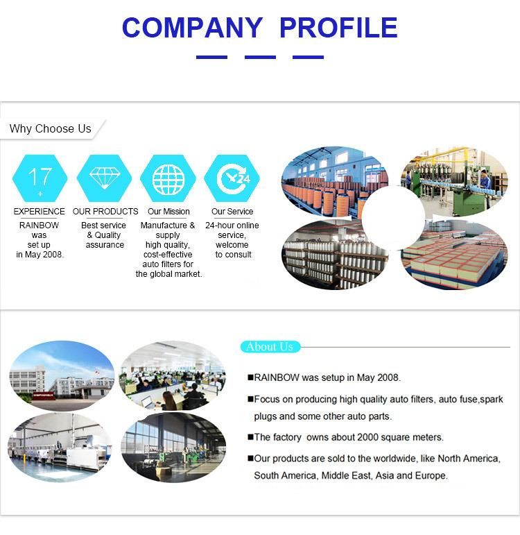 Professional China Manufacturer OEM Colored Car Plastic Clip Fasteners