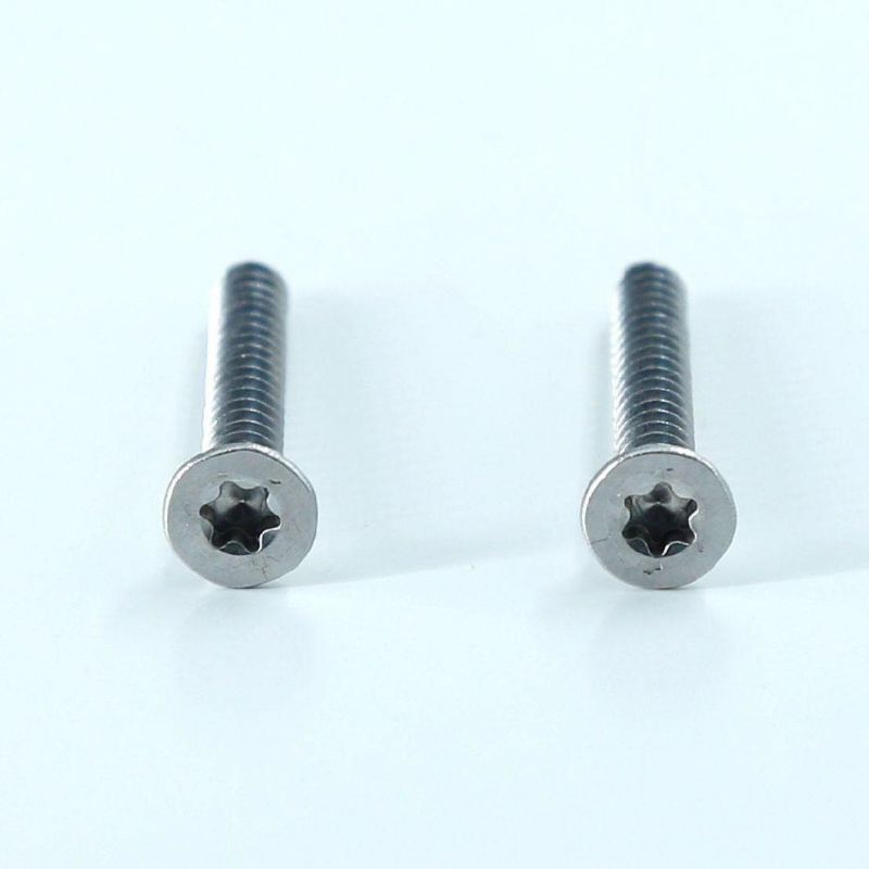 Cheap Price Good Quality Self Tapping Flat Head Security Tamper Resistant Screw