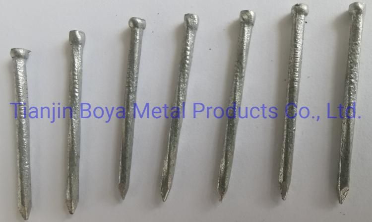 Best Quality Duplex Head Nail/Common Iron Nail