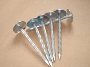 Hot-Dipped Galvanized Umbrella Roofing Nail