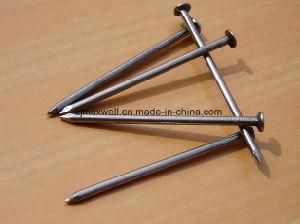 Common Nails Polish Nails Iron Nails