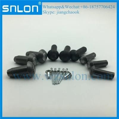 Mushroom Head Round Head Rivet Blind Rivet for Auto Parts