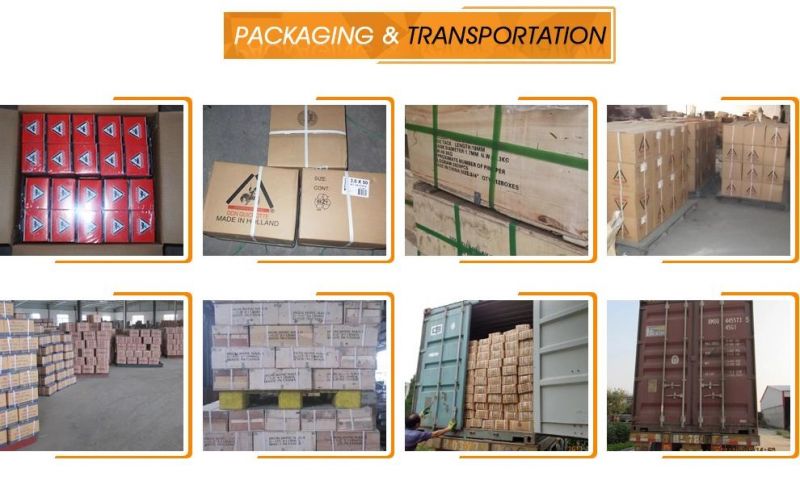 1kg/Box Plain Shank Electro Galvanized Concrete Nail