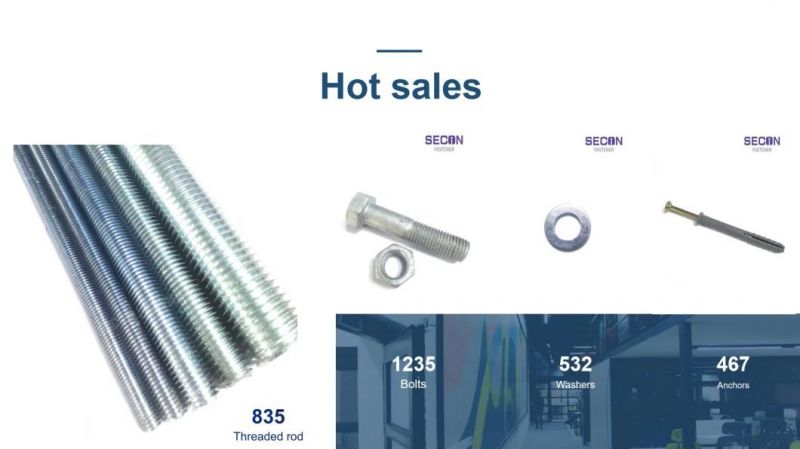 China Factory Self Drilling Screw/Drywall Tapping Screw/Chipboard Screw/Wood Screw/Roofing Screw/Machine Screw/Tornillo/Stainless Steel Screw/Hex Bolt/Hex Nut