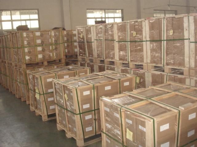 Factory Supply Carbon/Stainless Steel Chipboard Screw DIN7505