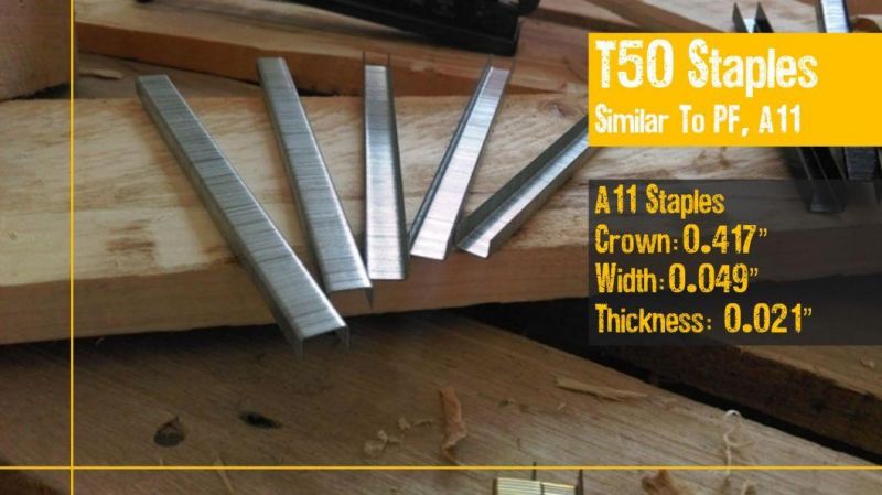 20ga T50 Fine Wire Staples for Upholstery 1/2 Inch Staples