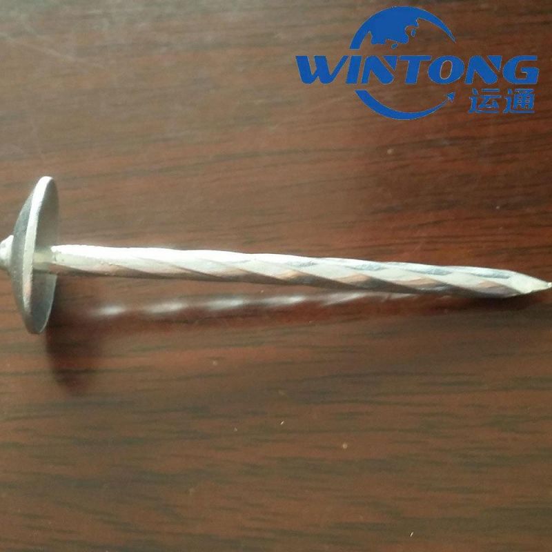 Hemp Pole Roofing Nail, Q195 Roofing Nail, Corrosion Resistant Roofing Nails