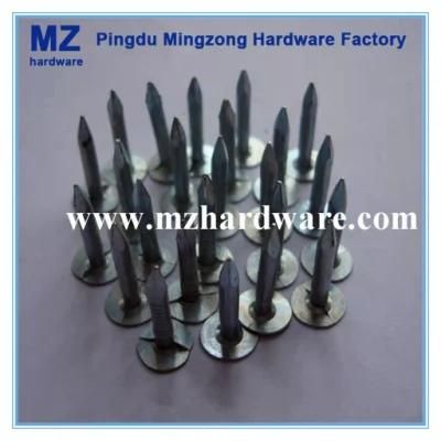 Big Head Flat Head Clout Roofing Nail Electro-Galvanized Clout Nail Roofing Nail