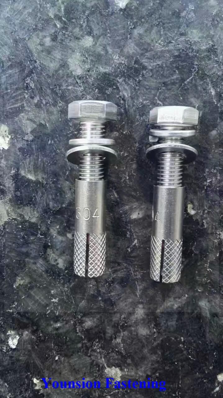Stainless Steel Drop-in Anchor with Bolt