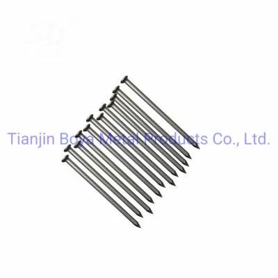 Construction Nails Common Iron Nail/Steel Nail/Polished Nail/Galvanized Nail/Hot Dipped Galvanised Nail