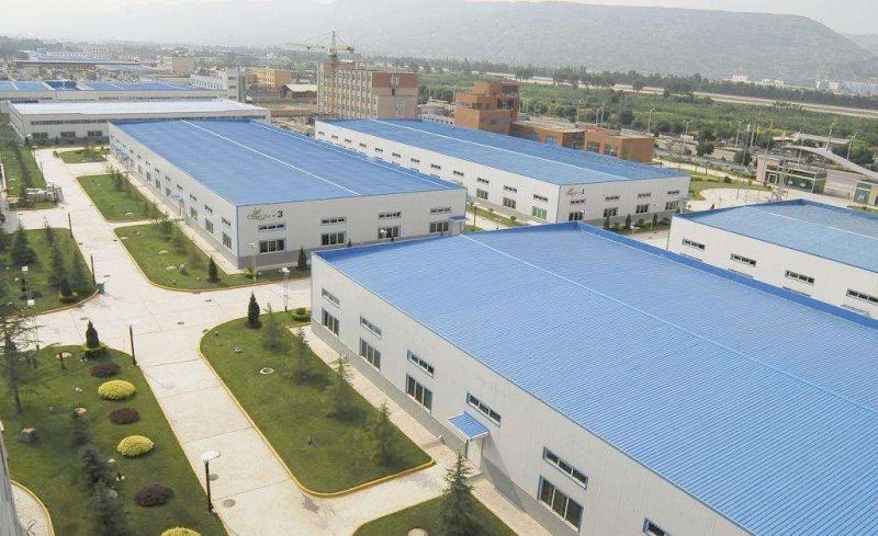 Chinese Factory Forged Flanges Alloy/Carbon Steel /Stainless Steel Flange