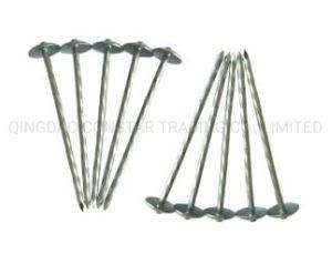Roofing Nail/Umbrella Head/Smooth or Twist Shank