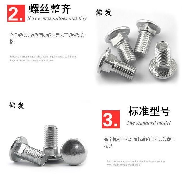 GB12 Stainless Steel 304 Carriage Screw Small Half Round Head Square Neck Bolt Shelf Screw M10 * 20-10 * 100