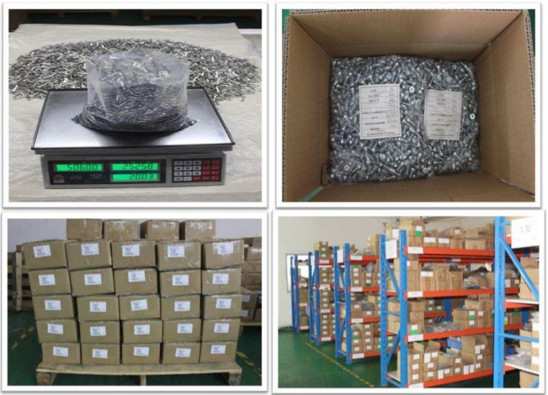 All Kinds of High Quality Nuts, Nuts Factory