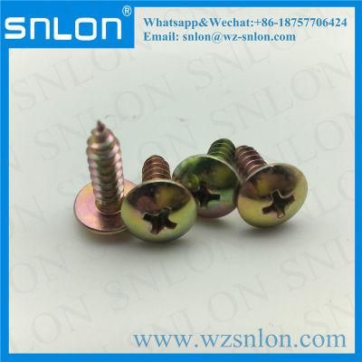Flat Round Head Screw with Phillip for Auto Parts