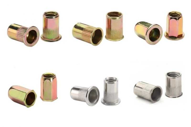 Stainless Steel/Carbon Steel Rivet Nut with Reduce/Thin/Small Csk Head Blind Rivet Nuts with Half Knurled Round /Hex Body