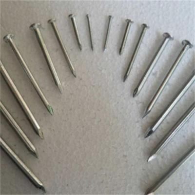 Galvanized Concrete Nail/Special Steel Nail/Hard High Strength Nail