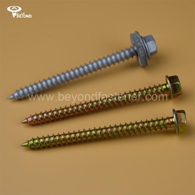 Screw/Self Tapping Screw/Fasteners/Bolts