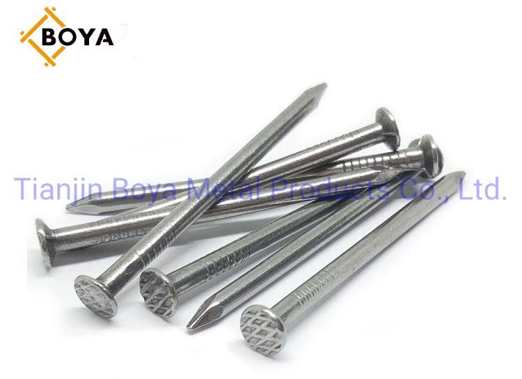 Best Quality Common Nails/Galvanized Nail/Building Nail/Hardware Iron Nail
