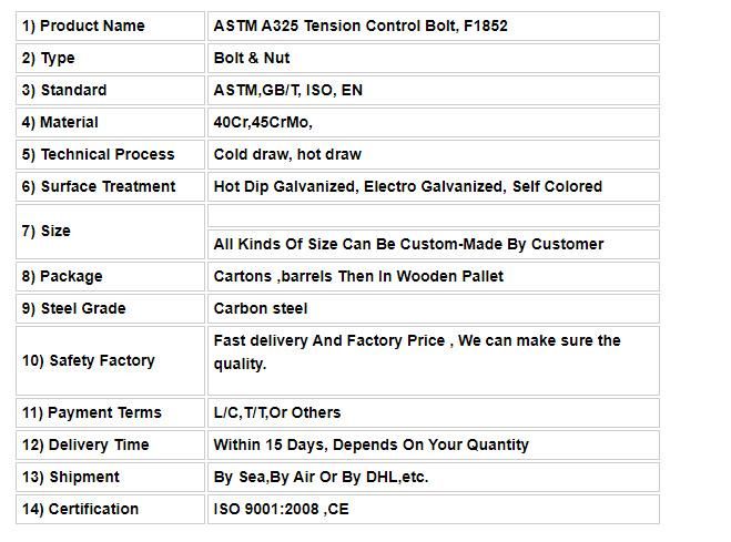 Various Standards Dacromet Hot DIP Galvanizing Tension Control Bolt