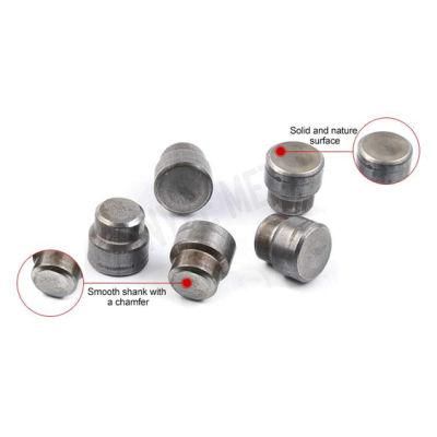 Black Plating Step Rivet of Low Carbon Steel