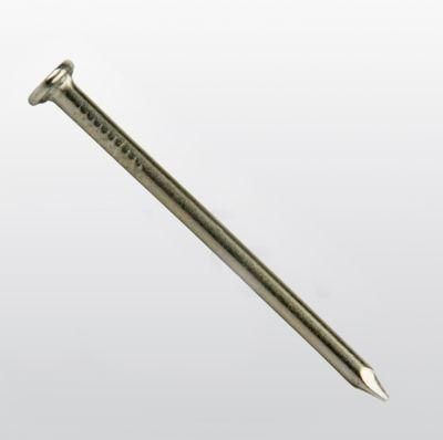 Made in China 304 316 Stainless Steel Nail