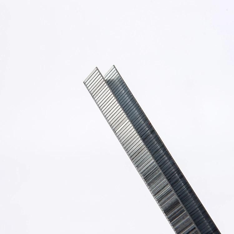 8016 Series Stainless Steel 12.9mm Nail Staple Pins for Bookshelves and Cupboards Upholstery Furniture