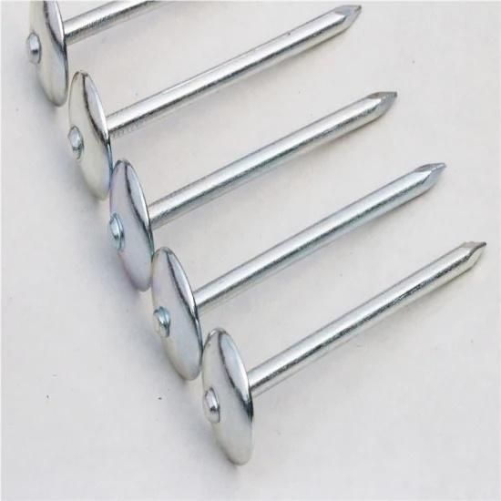 China Factory Supply Electric Galvanized Roofing Nail