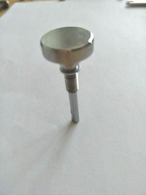 Stainless Steel 4.8/8.8/10.9 Galvanized Non-Standard/Machine/Auto Parts/Spare Parts Screw