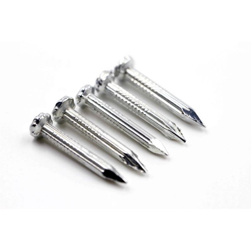 Tianjin Factory Direct Wholesale Hot Sale Electro Galvanized Concrete Nails for Building Construction