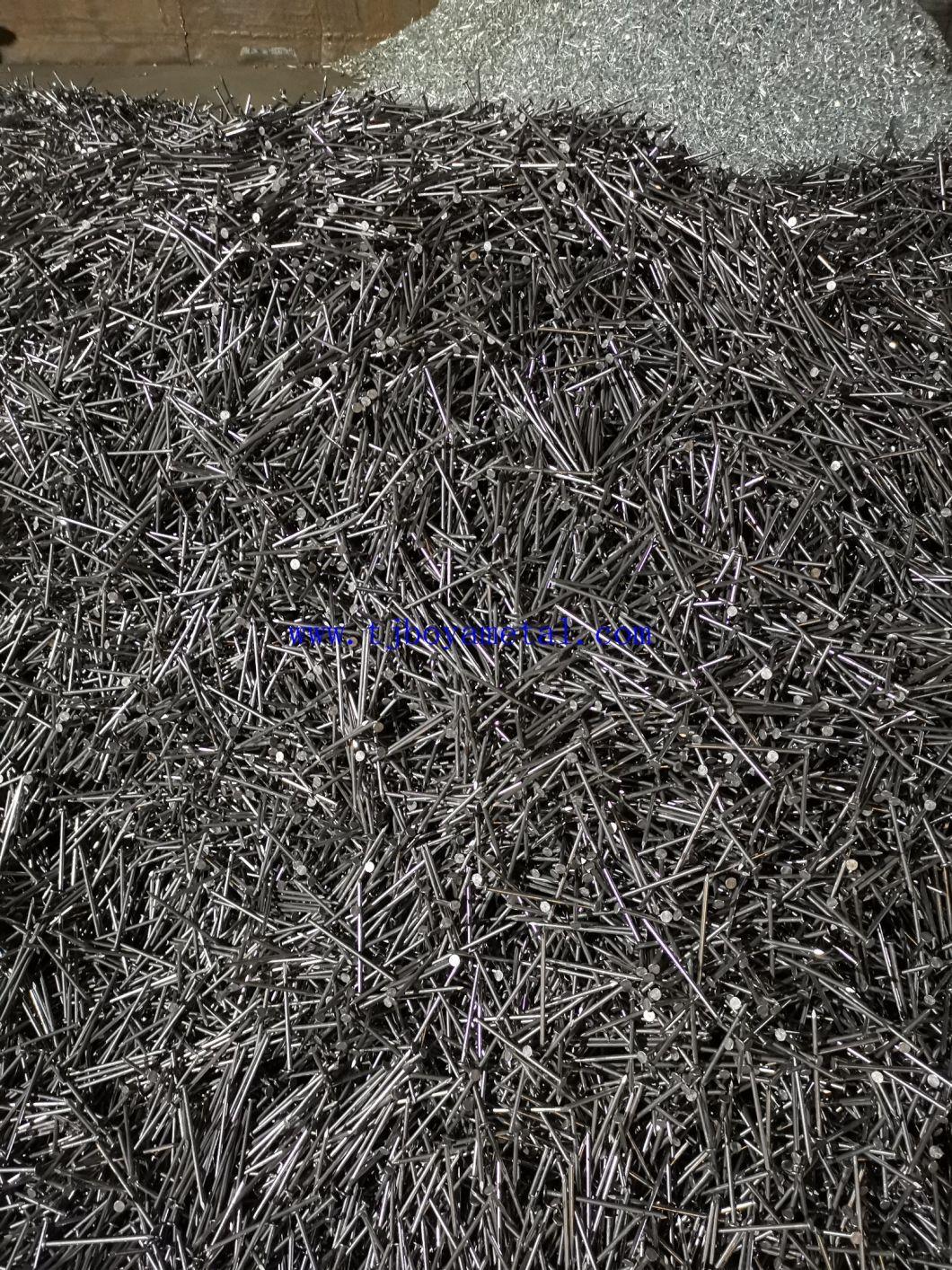 Polished Common Iron Wire Nail for Building and Construction Made in China