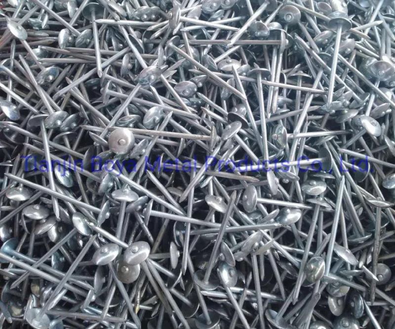 White Zinc Plated Umbrella Head Roofing Nail with Good Quality