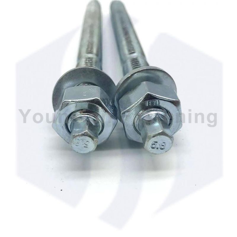 Chemical Stud Anchor Bolt with Hex Nut and Washer 5.8 Grade White Blue Zp
