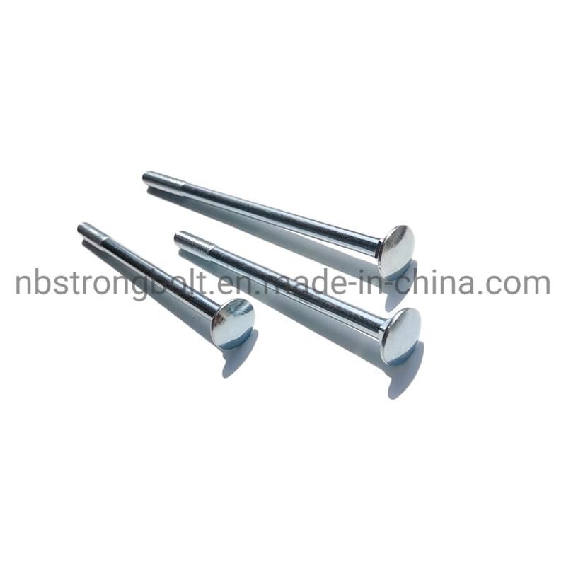 Mushroom Head Square Neck Bolt DIN603 Gr. 4.8 with White Zinc Plated