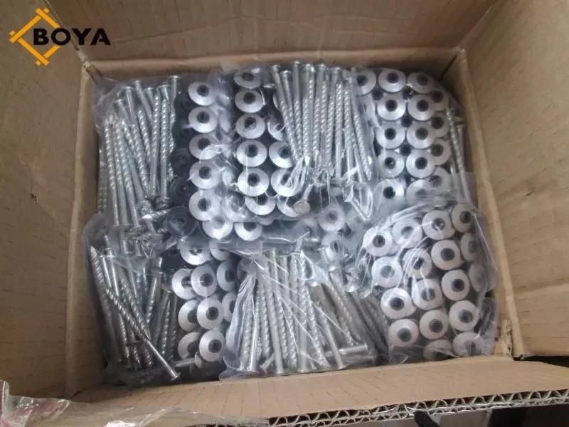 Galvanized Roofing Screw Nail with Washer/Assembled Roofing Nail From Tianjin