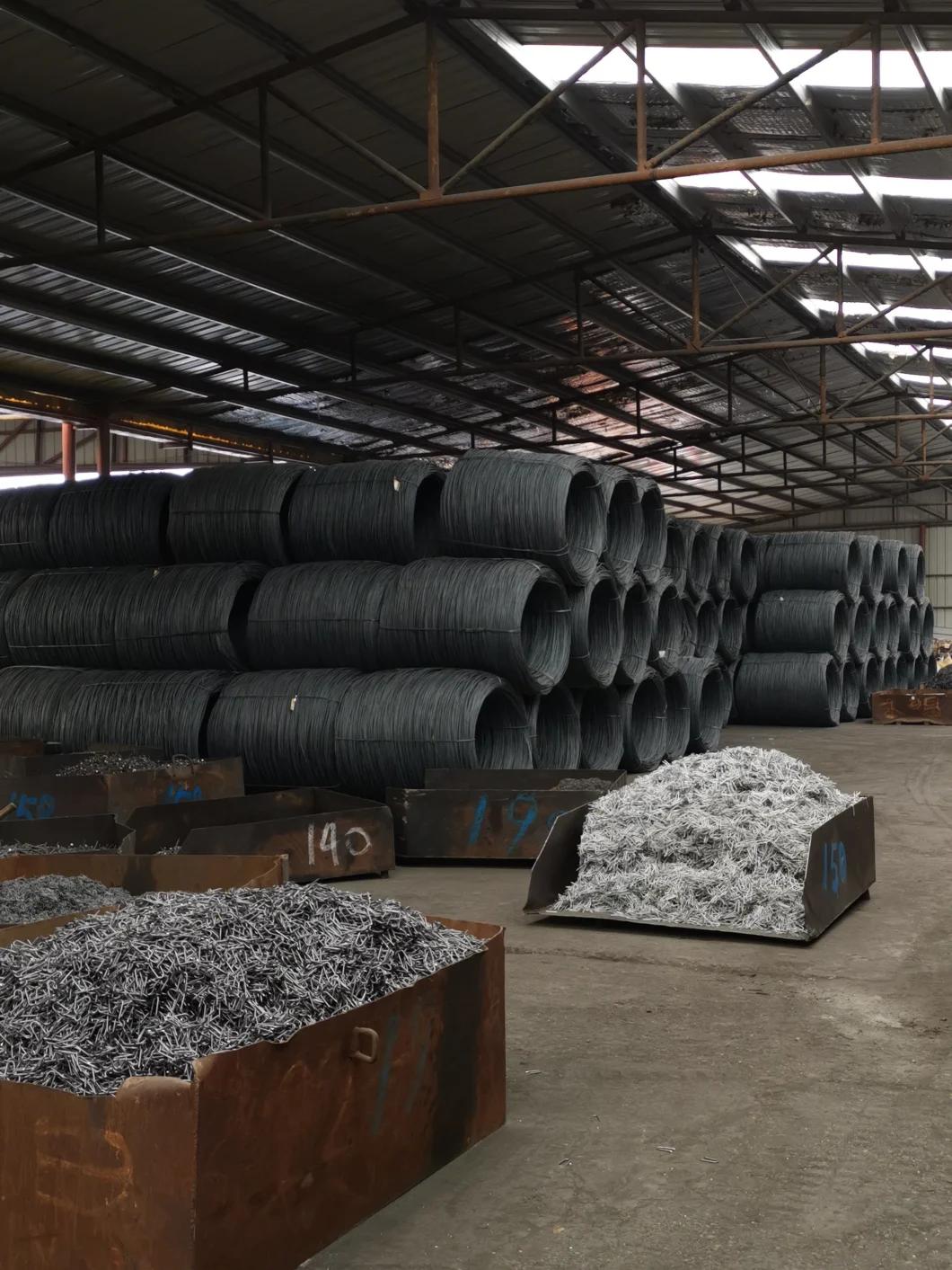 Factory Direct Sale Competitive Price Galvanized Steel Concrete Nails