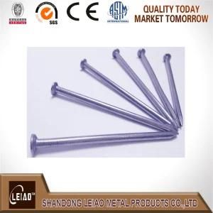 Polished Iron Wire Nails