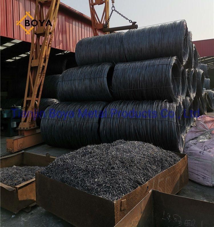 Roofing Nail/Umbrella Nail/Umbrella Head Nail/Clout Nail/Galvanized Roofing Nail