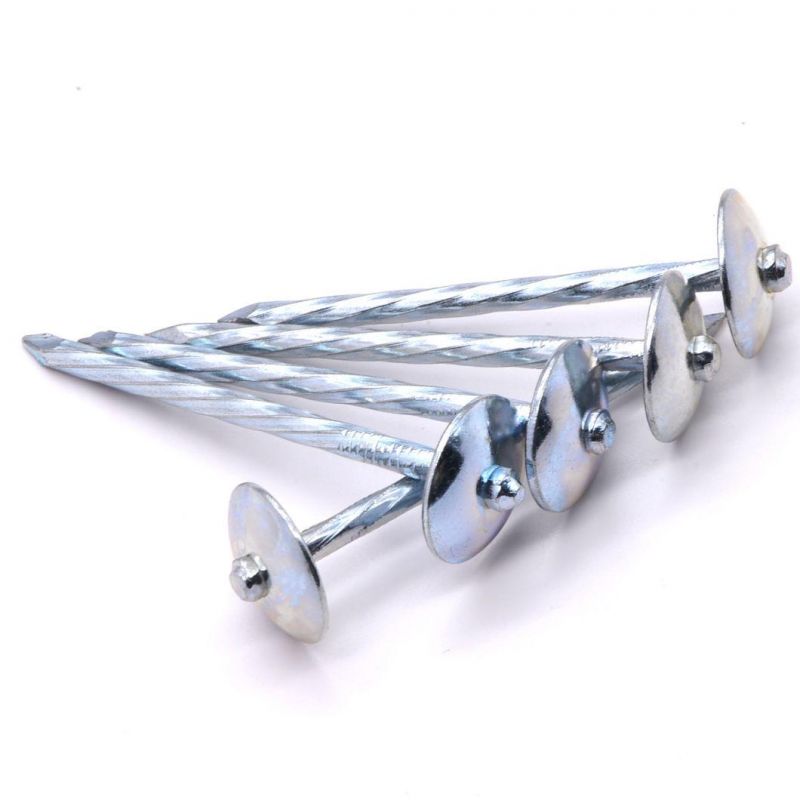 Galvanized Umbrella Head Roof Nails Electro Galvanized Roofing Nails