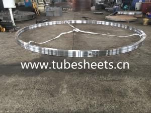 Large Size Customized Steel Flange