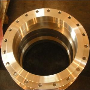 Dn80 Casting Pipe Fitting Flange