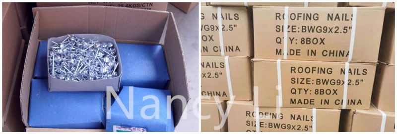 Bwg12X2" Umbrella Head Roofing Nails 50kg