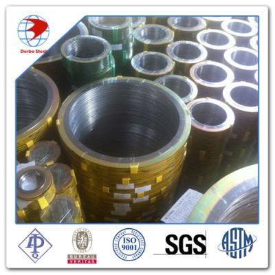 Soft Iron Dn150 Class 300 Spiral Wound Gasket