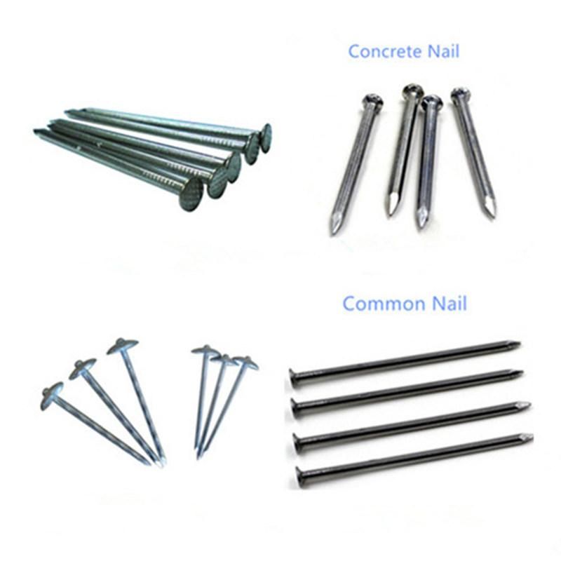 Nails Loose Nails Steel Nails Custom Nails Can Be Made in Any Size for Fixed OEM Customized CNC Machining Stainless Steel Supplier of Car/Auto Spare /Motor/Pump