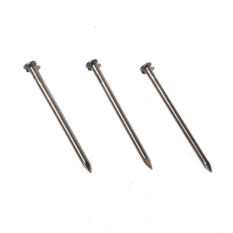 Lower Factory Price Polished Common Round Iron Wire Round Head Nails