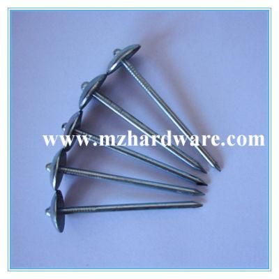 Umbrella Head Nail Galvanized Roofing Nail for Tanzania