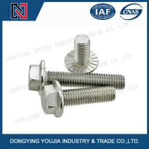 Stainless Steel Anti Theft Hexagonal Flange Head Sex Bolt Nut and Screw