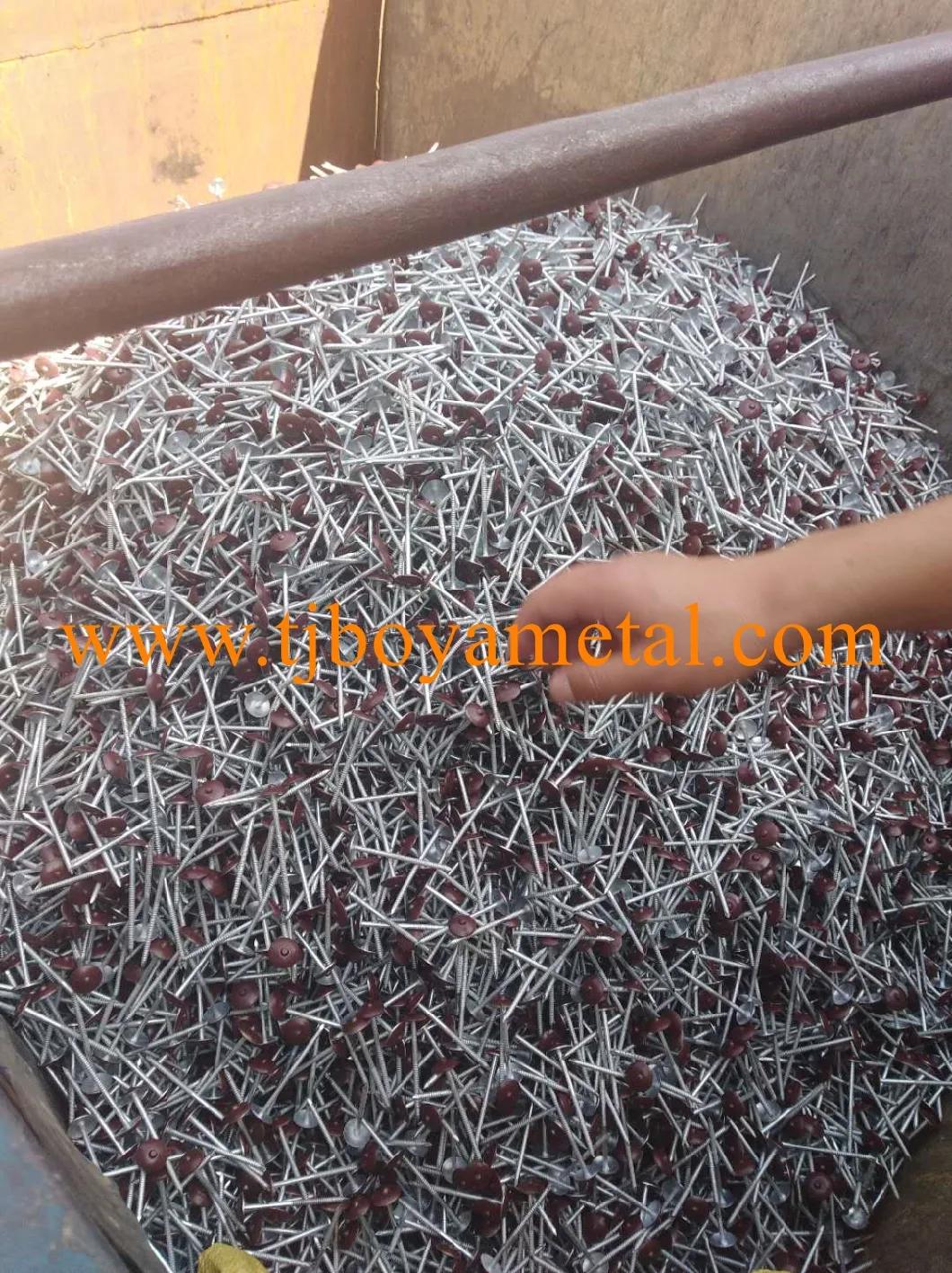 Color Umbrella Head Roofing Nail Umberlla Head Umbrella Type Roofing Nails Color Umbrella Head Roofing Nail with Washer From Factory