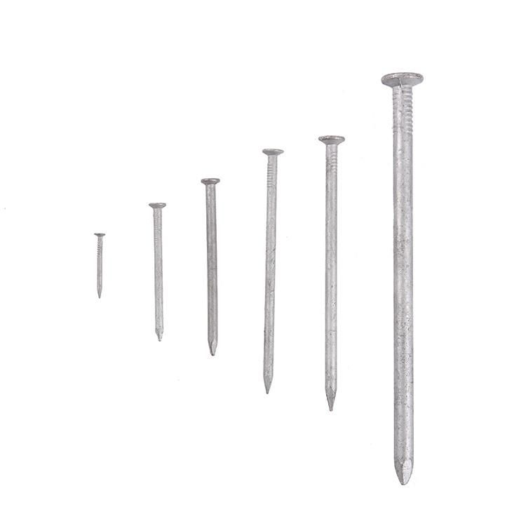 Common Nail, Common Round Nail, Construction Nails for Wood